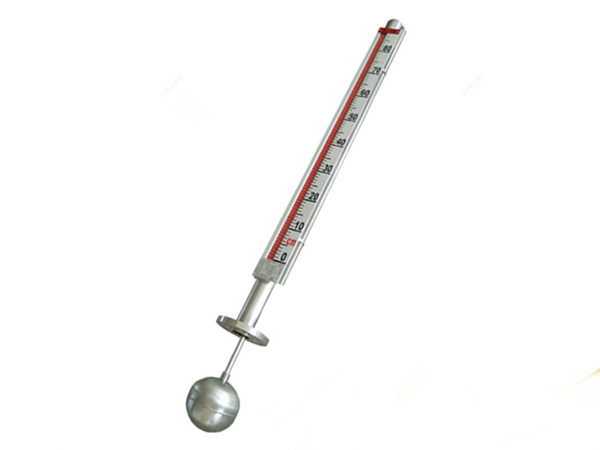 頂裝磁翻闆液位計