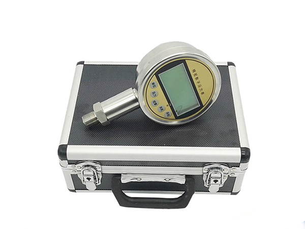 精密數字壓力表